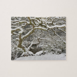 Schneebedeckter japanischer Ahorn Puzzle