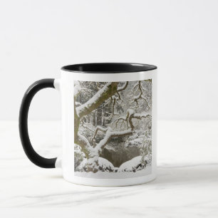 Schneebedeckter Japanischer Ahorn Tasse
