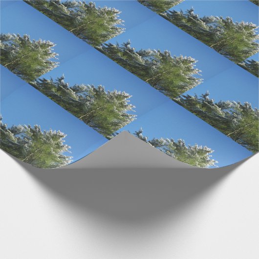 Schneebedeckter Kiefernbaum auf blauem Himmel Geschenkpapier (Ecke)
