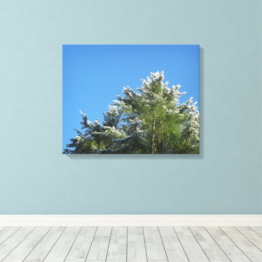 Schneebedeckter Kiefernbaum auf blauem Himmel Leinwanddruck (Insitu (Holzboden))