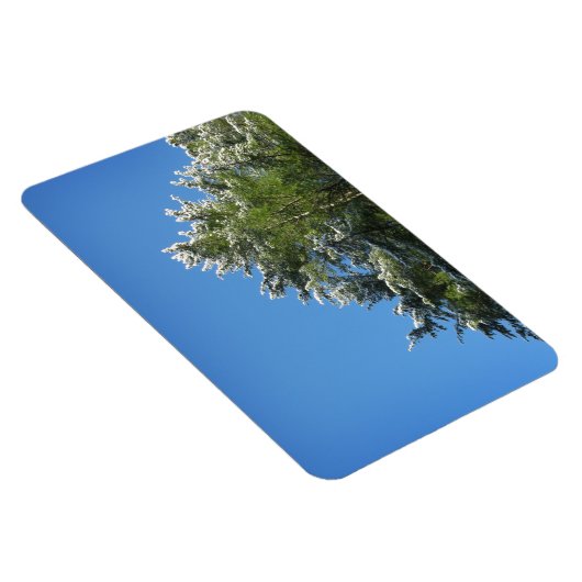 Schneebedeckter Kiefernbaum auf blauem Himmel Magnet (Rechte Seite)