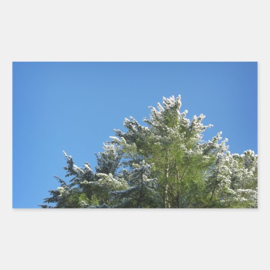Schneebedeckter Kiefernbaum auf blauem Himmel Rechteckiger Aufkleber (Vorderseite)