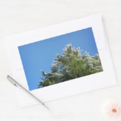 Schneebedeckter Kiefernbaum auf blauem Himmel Rechteckiger Aufkleber (Umschlag)