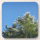 Schneebedeckter Kiefernbaum auf blauem Himmel Untersetzer (Vorderseite)