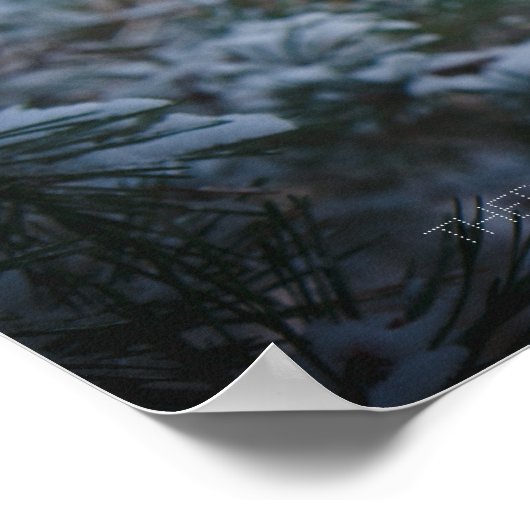 Schneebedeckter Kiefernwald Poster (Ecke)