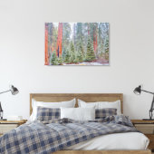 Schneebedeckter Sequoienwaldweg Leinwanddruck (Insitu (Schlafzimmer))