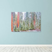 Schneebedeckter Sequoienwaldweg Leinwanddruck (Insitu (Holzboden))