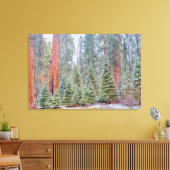 Schneebedeckter Sequoienwaldweg Leinwanddruck (Insitu (Wohnzimmer))