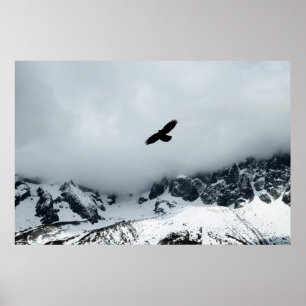 Schneebedeckter Vogel Poster