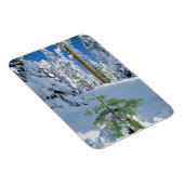 Schneebedeckter Wald in Oregon Magnet (Rechte Seite)