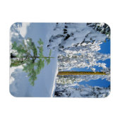 Schneebedeckter Wald in Oregon Magnet (Horizontal)