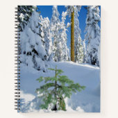 Schneebedeckter Wald in Oregon Notizblock (Vorderseite)