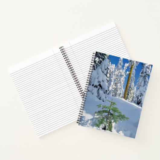 Schneebedeckter Wald in Oregon Notizblock (Innenseite)