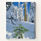 Schneebedeckter Wald in Oregon Notizblock (Rückseite)