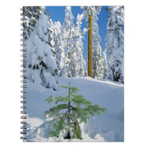Schneebedeckter Wald in Oregon Notizblock