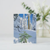 Schneebedeckter Wald in Oregon Postkarte (Stehend Vorderseite)