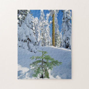 Schneebedeckter Wald in Oregon Puzzle