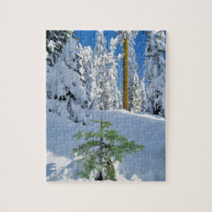 Schneebedeckter Wald in Oregon Puzzle