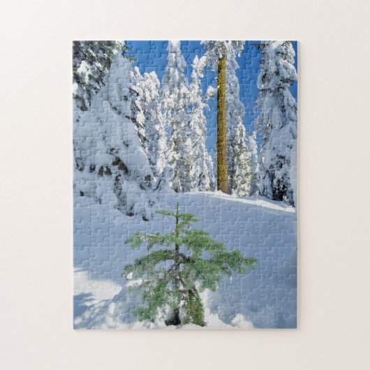 Schneebedeckter Wald in Oregon Puzzle (Vertikal)