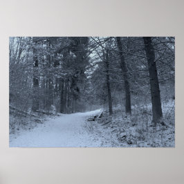 Schneebedeckter Wanderweg 1 Poster