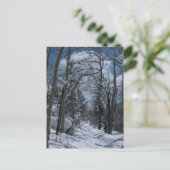 Schneebedeckter Weg durch die Felswand Postkarte (Stehend Vorderseite)