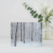 Schneebedeckter Weißpappelwald Postkarte (Stehend Vorderseite)