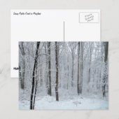 Schneebedeckter Weißpappelwald Postkarte (Vorne/Hinten)