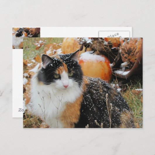 Schneebedeckter Winter Postkarte (Vorne/Hinten)