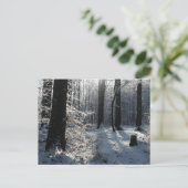 Schneebedeckter Winterwaldweg Postkarte (Stehend Vorderseite)