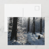 Schneebedeckter Winterwaldweg Postkarte (Vorne/Hinten)