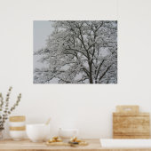 Schneebedecktes Eichenbaumposter Poster (Küche)