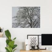 Schneebedecktes Eichenbaumposter Poster (Heimbüro)