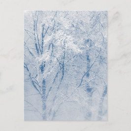 Schneebedecktes Foto Bäume Winter Postkarte