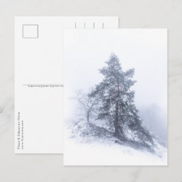 Schneebedecktes Foto Tree Winter Postkarte