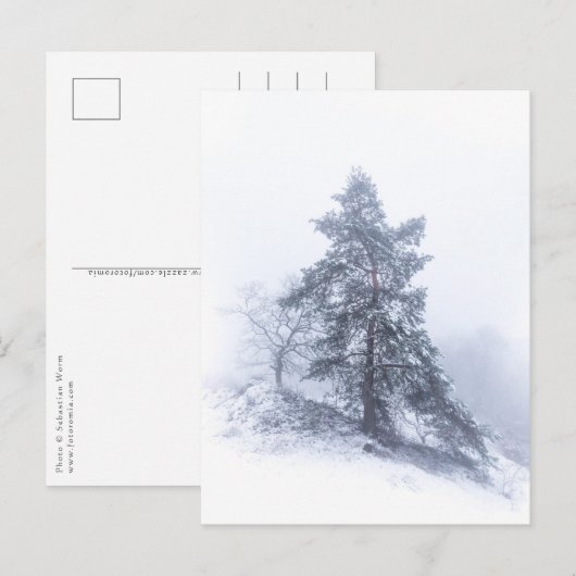 Schneebedecktes Foto Tree Winter Postkarte (Vorne/Hinten)