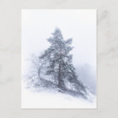 Schneebedecktes Foto Tree Winter Postkarte (Vorderseite)