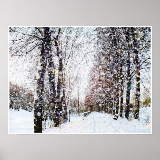 Schneebedecktes Landschaftsposter Poster (Vorne)