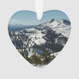 Schneebedeckungen des Grand Teton Mountains II Fot Ornament