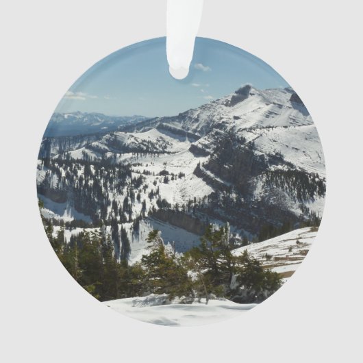 Schneebedeckungen des Grand Teton Mountains II Fot Ornament (Vorderseite)