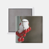 Schneebeeren Magnet (Vorderseite/Rückseite)