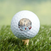 "Schneebergrückzug" Golfball (Insitu T-Shirt)