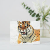 Schneebeuteliger Postkarte (Stehend Vorderseite)