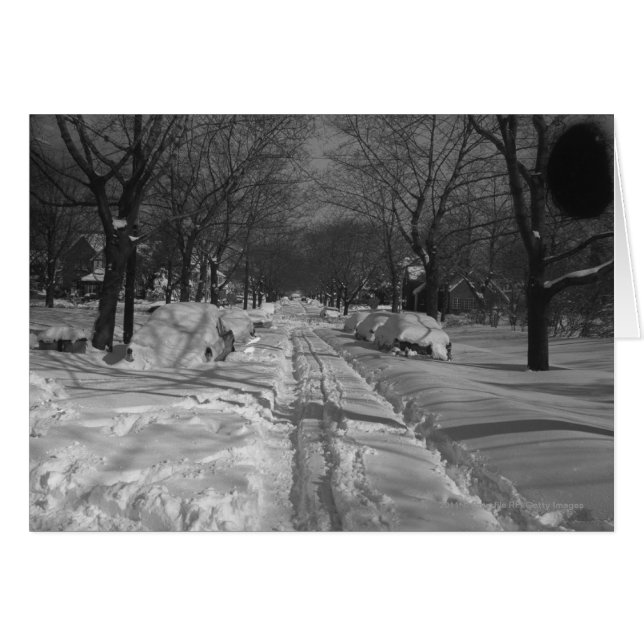Schneebezirk (Vorderseite (Horizontal))