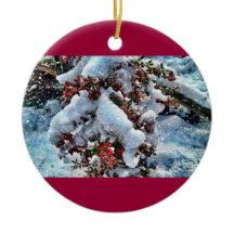 Schneebilder auf einem orniment