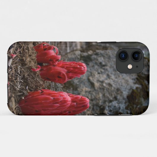 Schneeblocken Case-Mate iPhone Hülle (Rückseite (Horizontal))