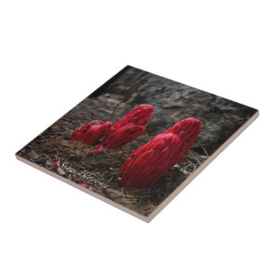 Schneeblocken Fliese