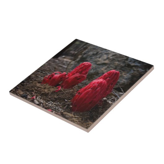 Schneeblocken Fliese (Seite)