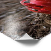 Schneeblocken Fotodruck (Ecke)