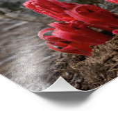 Schneeblocken Fotodruck (Ecke)