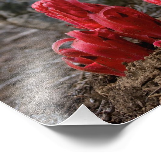 Schneeblocken Fotodruck (Ecke)